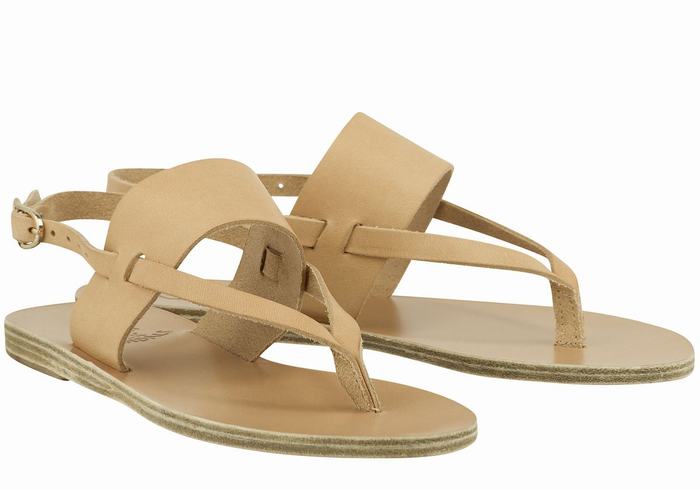 Sandales Bride Arrière Ancient Greek Sandals Zoe Flip Flop Leather   | EET-8010102